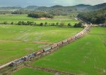 Linha São Francisco do Sul - km59